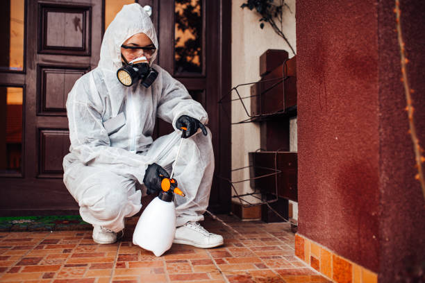 Reliable Wasp Removal contractor in Riverside, MO by Show Me Pest Control